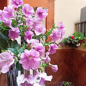 La Reina Córdoba